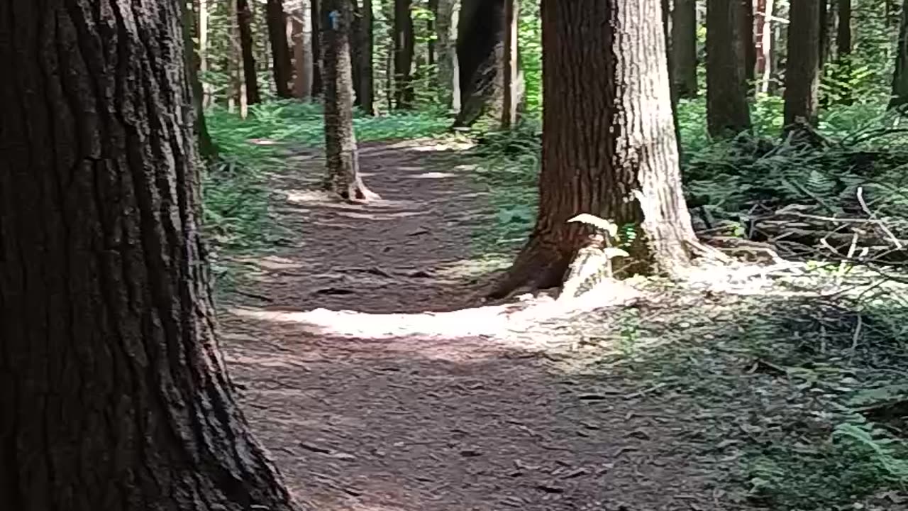 Place I walk