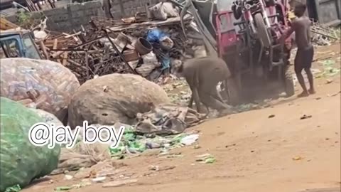 Try Not to Laugh: Viral Moments That Are Too Funny to Handle!