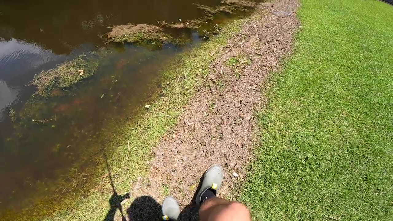 Topwater ONLY Day of Pond Fishing! (PB BASS)