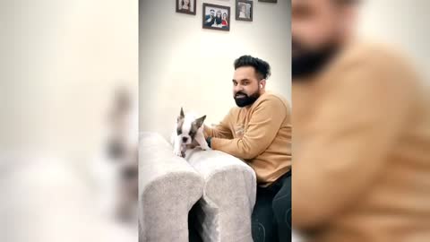 Very good Dog training Videos and Funny training Videos