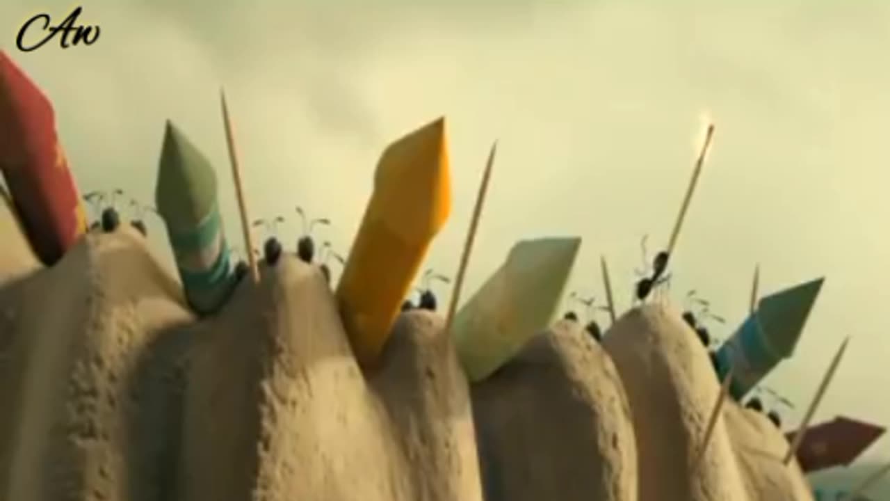 Funny animals video