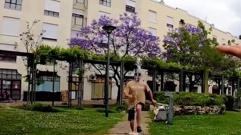 funny videos