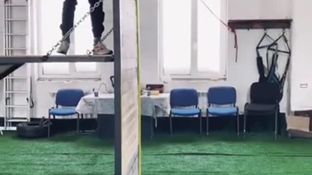 Brain training for dog | Dog training |#shorts #Dogtarining