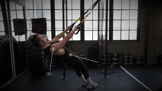 TRX Back Row Exercise Tutorial