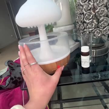 Raincloud Humidifier