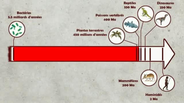 Les preuves d'une civilisation antédiluvienne mondialisée - Vidgita Investigation