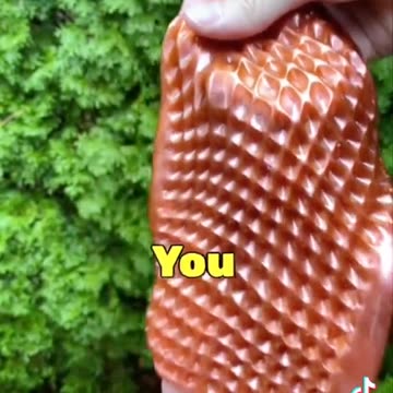 Facts that can save your life part 3