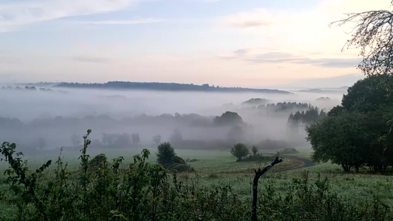 Fields - Agriculture - Nature - Meadow - DRONE