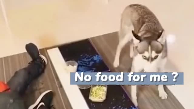If there is no food for me, there is no food for anyone.