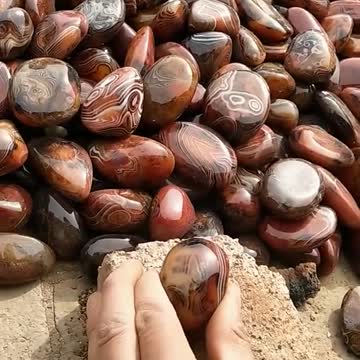 funny|prank|jokes|funny jokes|dad jokes|funny memes|funny video|fun|laughing|funny animal|knock