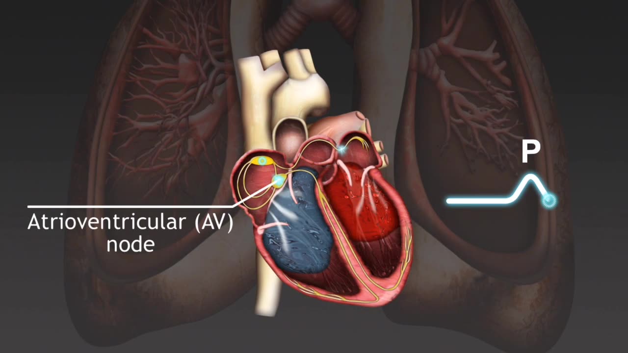 The electro cardiograph