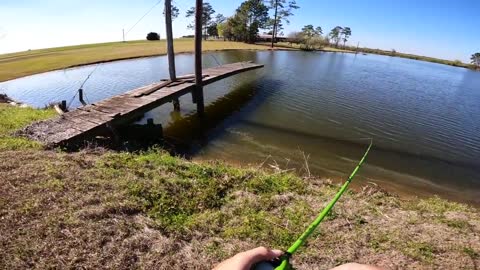 THE BIG BASS ONLY BIT THIS ONE LURE! (Bank Fishing)