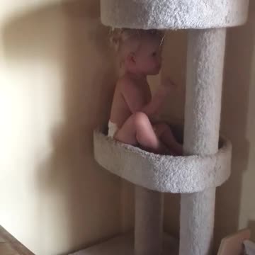 Temeraria beba muestra sus impresionantes habilidades para trepar