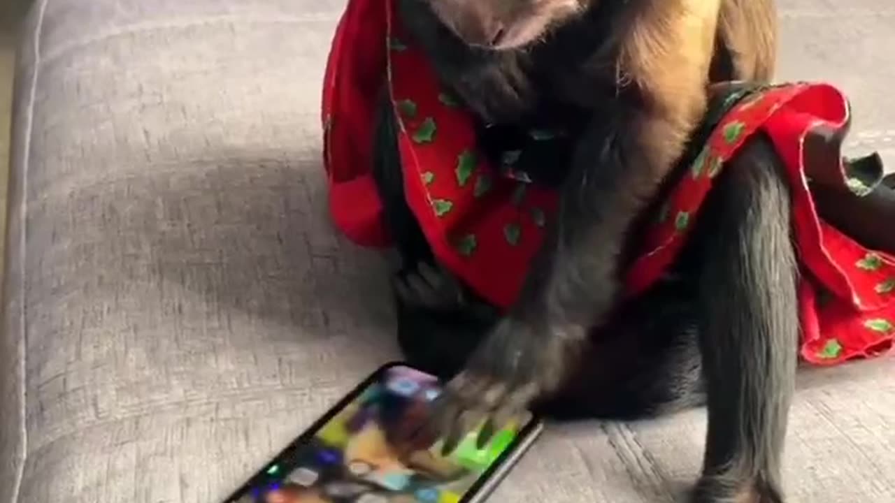 Today i Will Learn To Use Mobile Properly #shorts #shortsvideo #video #viral