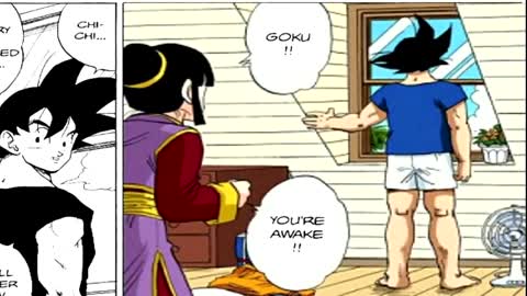 goku's story