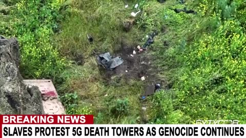 NATO Loses Another War in Ukraine