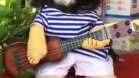 Cute dog try to play guitar fun#