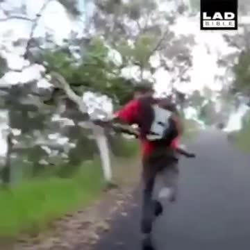 Don't miss out the best