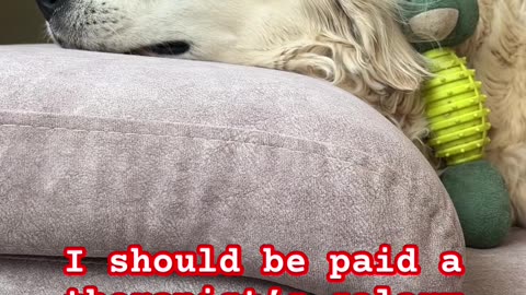 I should be paid a therapist's salary