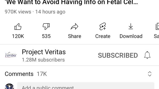 Project veritas