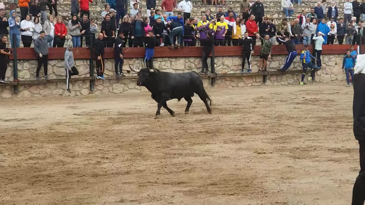 HITA. GUADALAJARA 🇪🇦 PARTIDO DE RESINA.