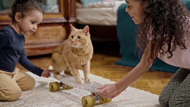 When a cat enjoys playing scooter with kids.