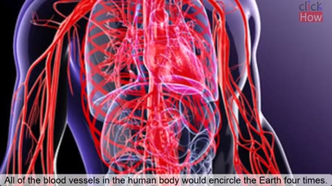 10 Facts about human body 😲