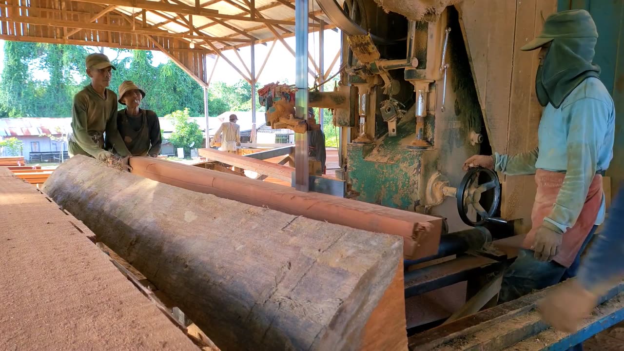 Operator Skill!!! In Sawing Super Large Red Meranti Wood #Cutingskil