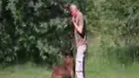 Basic Dog Training, How to Train ANY DOG the Basics and essential skills