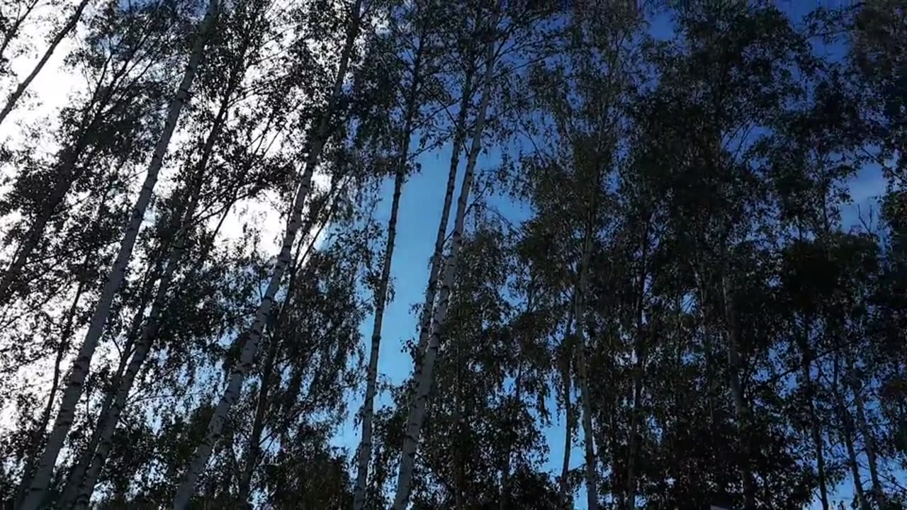 Himmel in Berlin am 30.10.2023 um 12:06 Uhr