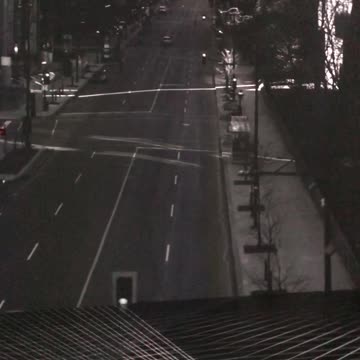 Oasis Immersion - Ville en pandémie