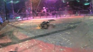 Roboriots BT Young Scientist Dublin 2018: Coyote Vs IA7