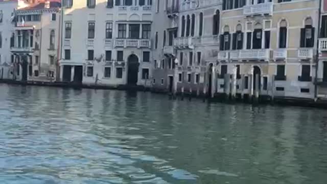 Back home on the Canal Grande in Venice ...never been so calm and deserted ♡