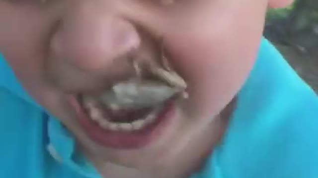 Kid scared of frog