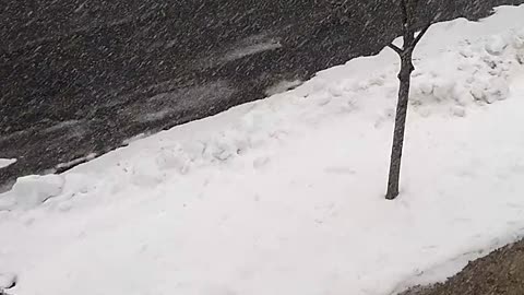 Let It Snow!
