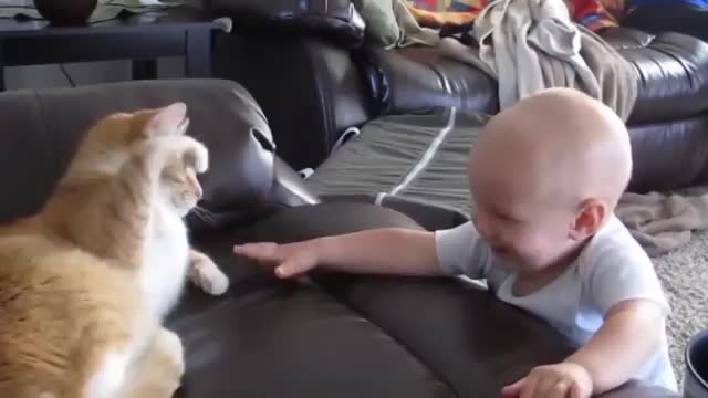 Funny cat and babe 🤩🤩