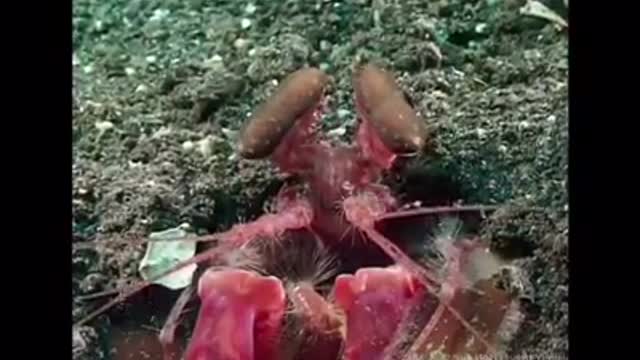 Time with God - June 13