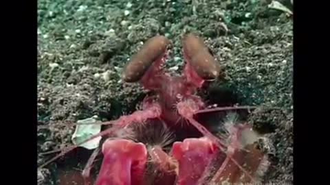 Time with God - June 13