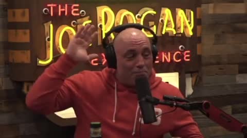 Rogan DESTROYS The Left's Use Of "Antifascists"