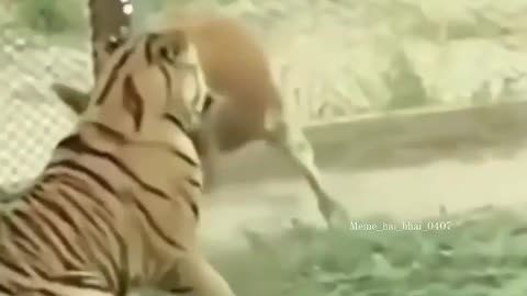 OMG 😱 😱