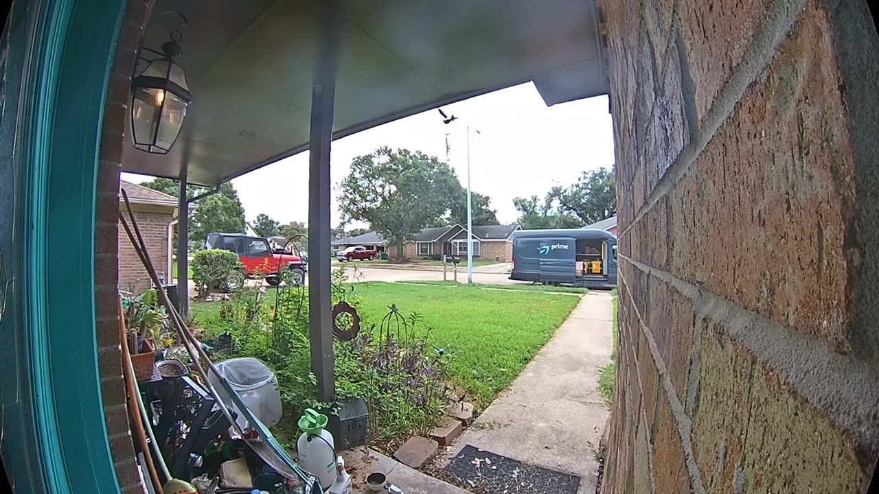 Delivery Driver Is Wary of Friendly Feline