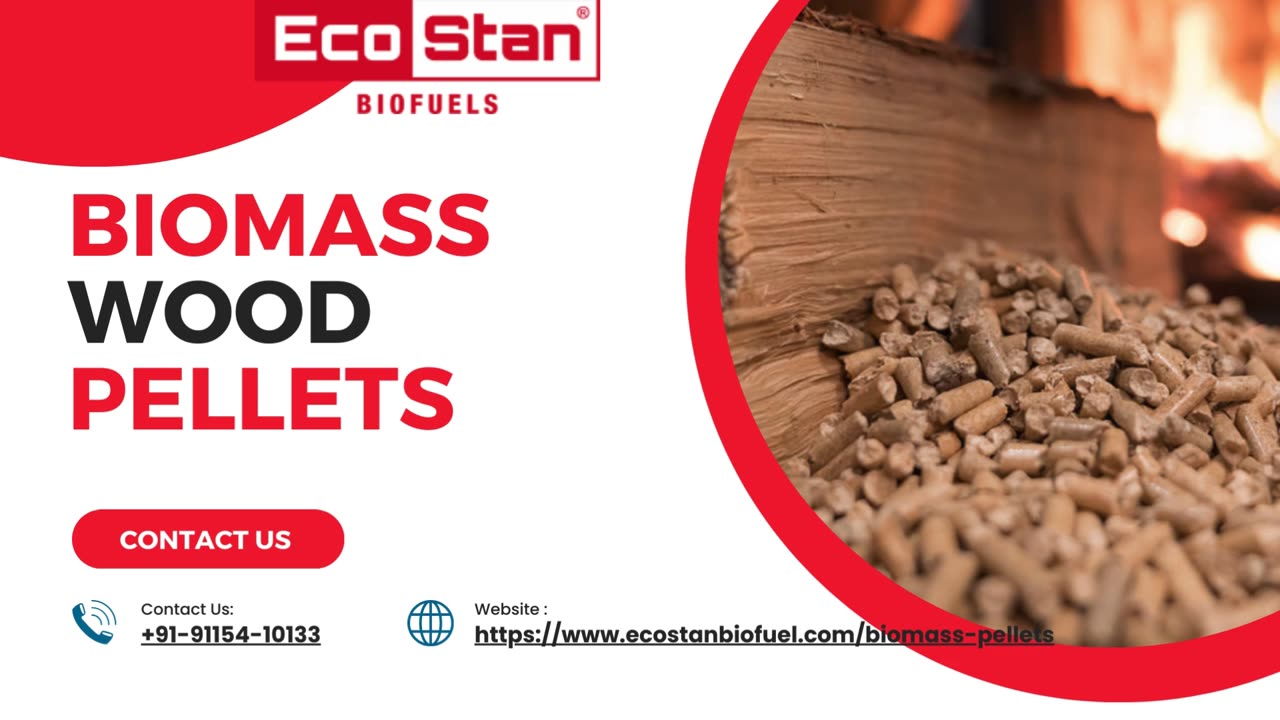 The use of Sustainable Energy: Power of Biomass Wood Pellets