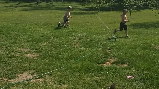 Fun on the Farm - enjoying the sprinkler on a hot day!