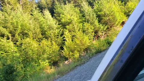 Road 2 high point. Pt1