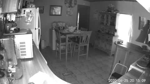 Spirit orbs caught on camera.