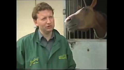 Best Animal News Bloopers Compilation 2024