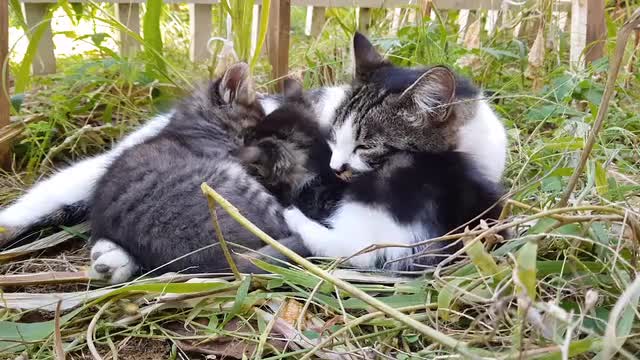 cute sweet family