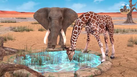 Giant Elephant vs Giraffe Water Fight Funny Animation | Wild Animals Searching for Water Pool