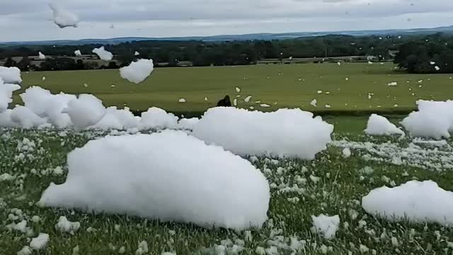 Foam Machine= Us Acting Like Complete Children
