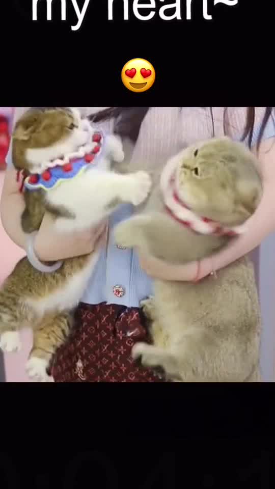 You guys have to stop fighting over me.